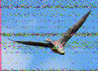 Shortwave Radiogram image