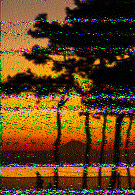 Shortwave Radiogram image