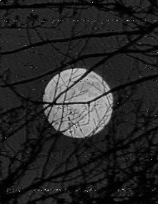 Shortwave Radiogram image