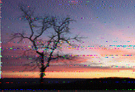 Shortwave Radiogram image