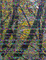 Shortwave Radiogram image