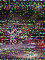 Shortwave Radiogram image