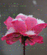 Shortwave Radiogram image