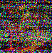 Shortwave Radiogram image