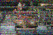Shortwave Radiogram image