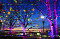 Shortwave Radiogram image