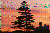 Shortwave Radiogram image