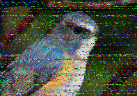Shortwave Radiogram image