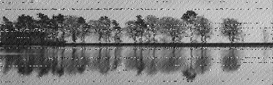 Shortwave Radiogram image