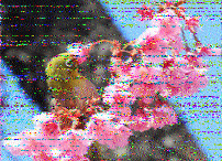 Shortwave Radiogram image