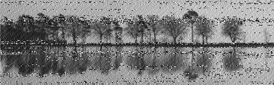 Shortwave Radiogram image