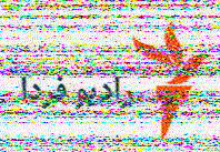 Shortwave Radiogram image