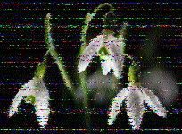 Shortwave Radiogram image