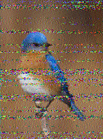 Shortwave Radiogram image
