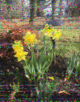 Shortwave Radiogram image
