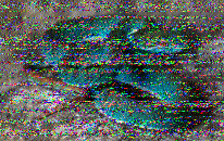 Shortwave Radiogram image