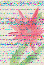 Shortwave Radiogram image
