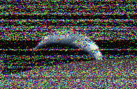 Shortwave Radiogram image