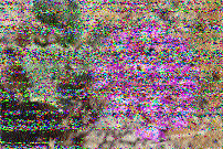 Shortwave Radiogram image