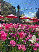 Shortwave Radiogram image