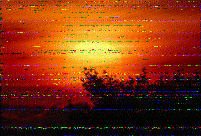 Shortwave Radiogram image