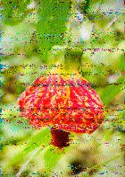 Shortwave Radiogram image