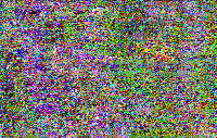 Shortwave Radiogram image