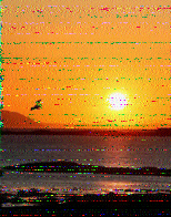 Shortwave Radiogram image