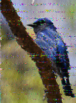 Shortwave Radiogram image