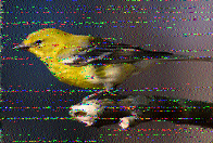 Shortwave Radiogram image