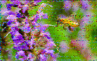 Shortwave Radiogram image