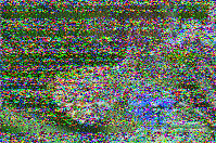 Shortwave Radiogram image