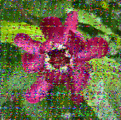 Shortwave Radiogram image