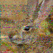 Shortwave Radiogram image