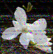 Shortwave Radiogram image
