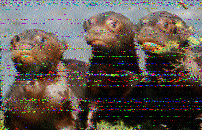 Shortwave Radiogram image