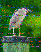 Shortwave Radiogram image