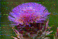 Shortwave Radiogram image