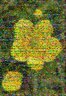 Shortwave Radiogram image
