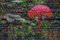 Shortwave Radiogram image