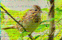 Shortwave Radiogram image