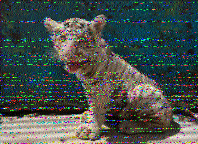 Shortwave Radiogram image