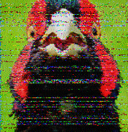 Shortwave Radiogram image