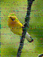 Shortwave Radiogram image