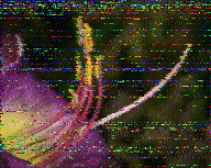Shortwave Radiogram image