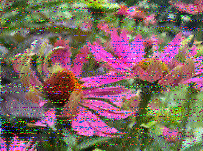 Shortwave Radiogram image