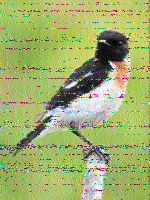 Shortwave Radiogram image