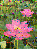 Shortwave Radiogram image