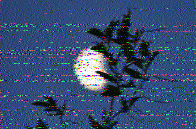 Shortwave Radiogram image