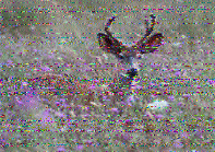 Shortwave Radiogram image